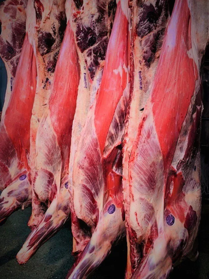 Фотография продукта мясо говядина