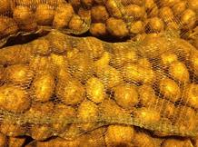 картофель продовольственный