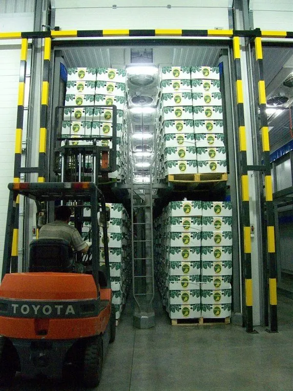 камеры газации бананов в Санкт-Петербурге