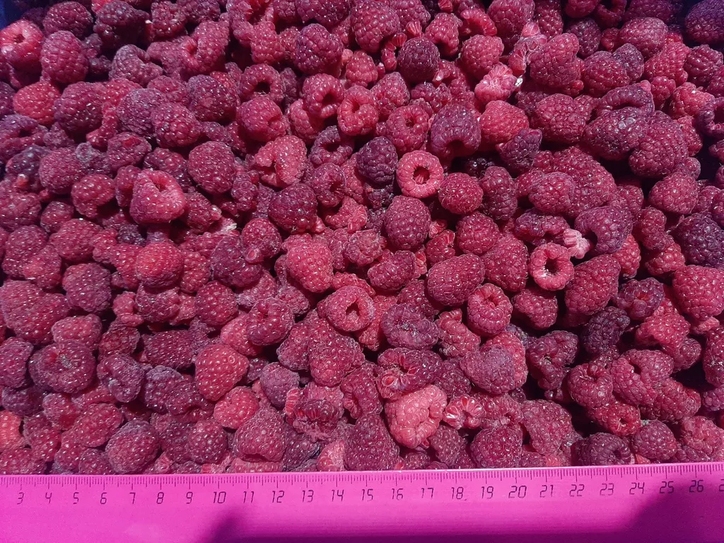 замороженные ягоды, фрукты в Санкт-Петербурге 3